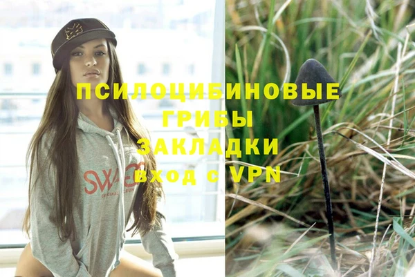 не бодяженный Михайлов