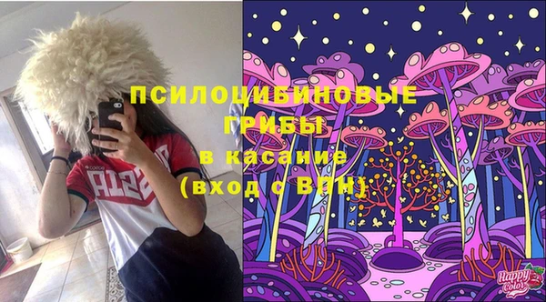 гидропоника Михайловка