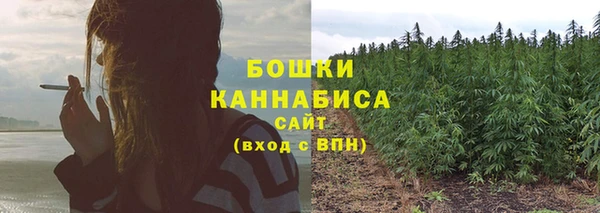 гидропоника Михайловка