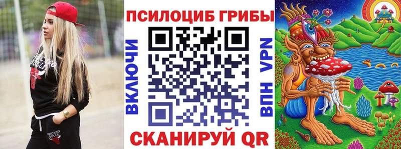 кракен зеркало Суворов Галлюциногенные грибы мицелий